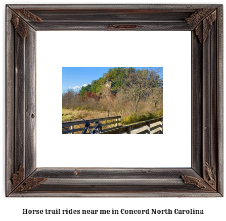 horse trail rides near me in Concord, North Carolina